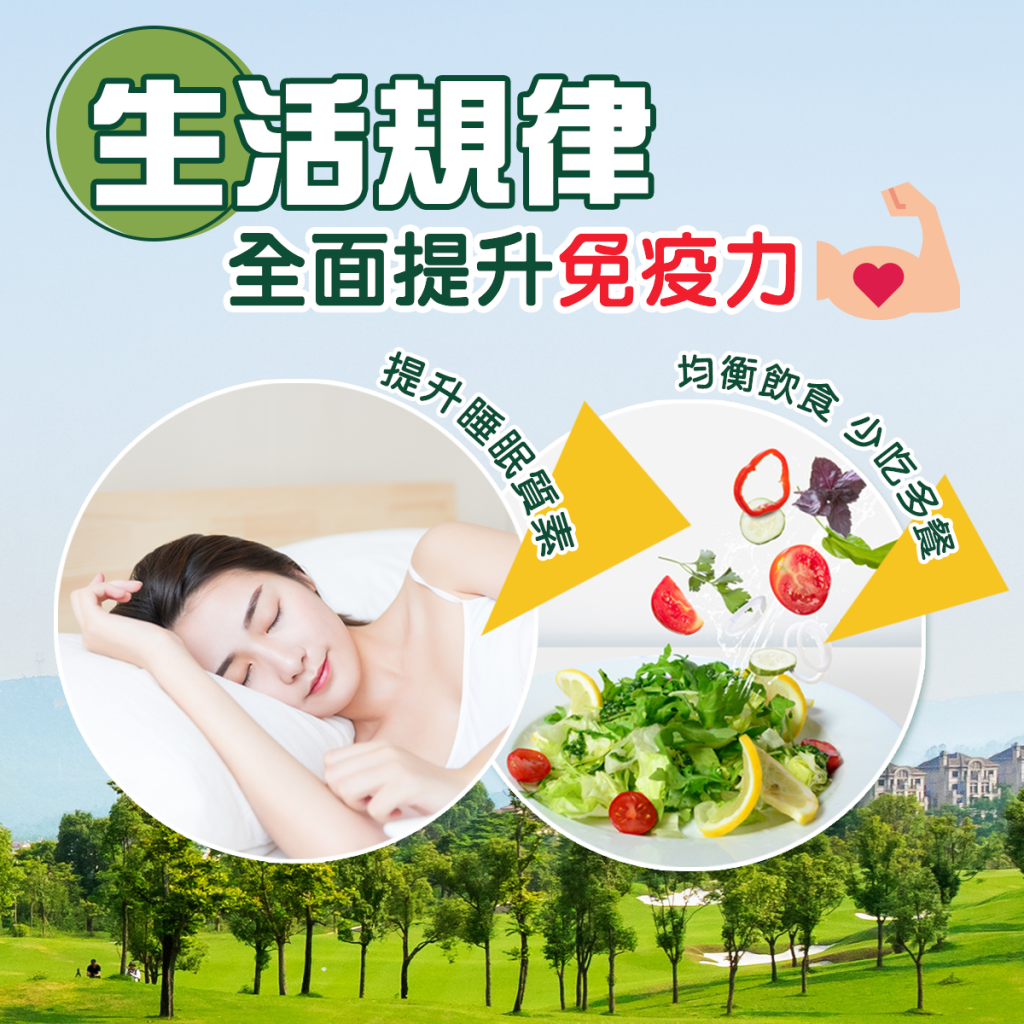 SEO 內容營銷 專業策略 廣告效果 高效廣告 網頁設計